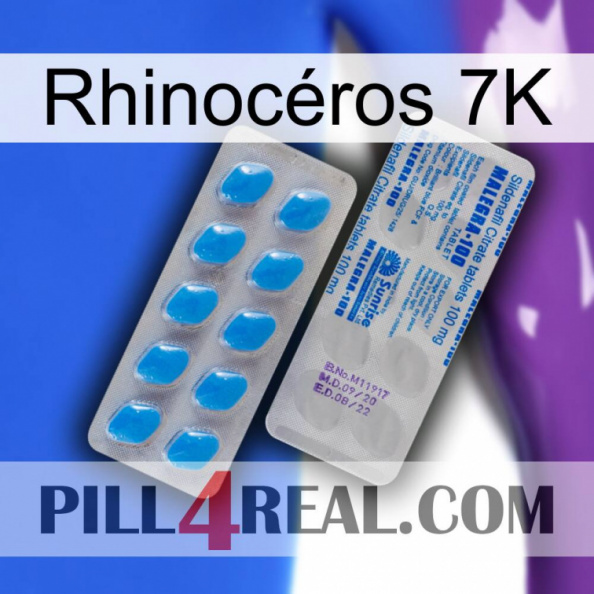 Rhinocéros 7K new15